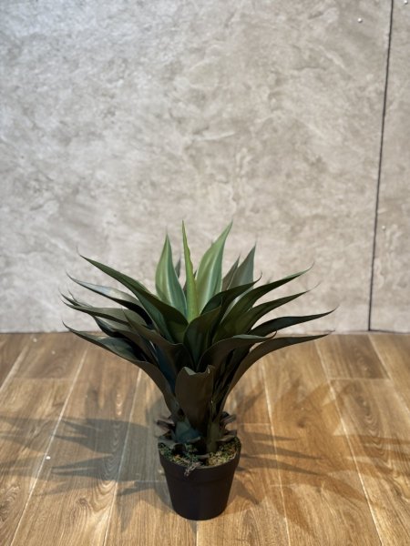 الوفيرا TV-12